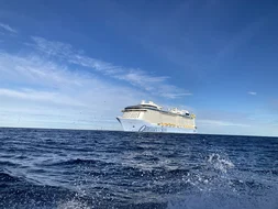 Odyssey of the Seas