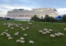 Überführung Norwegian Escape
