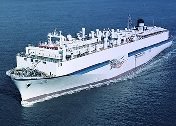 Livestock Carriers