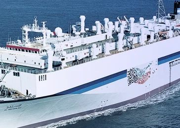 Livestock Carriers