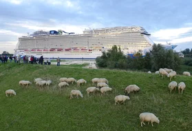 Norwegian Escape